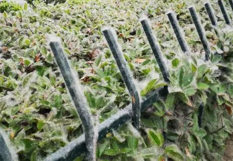 八面火情!今天阜阳消防接警141起!未来几天高发